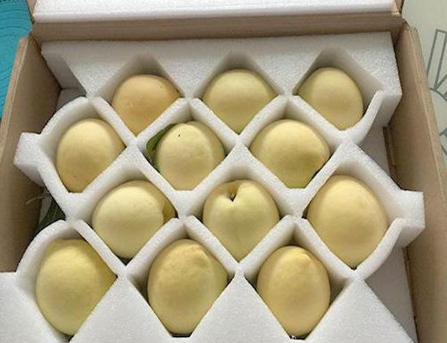 珍珠棉卷材 服務為先，多圖見證品質